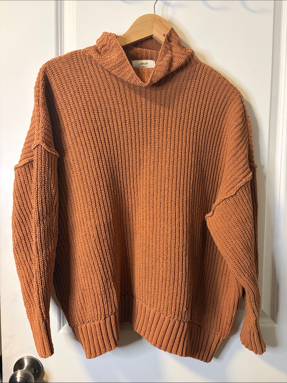 aerie Women's Ribbed Turtleneck Sweater in Rust